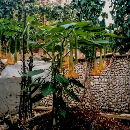 House Vlajcevic * Трогир